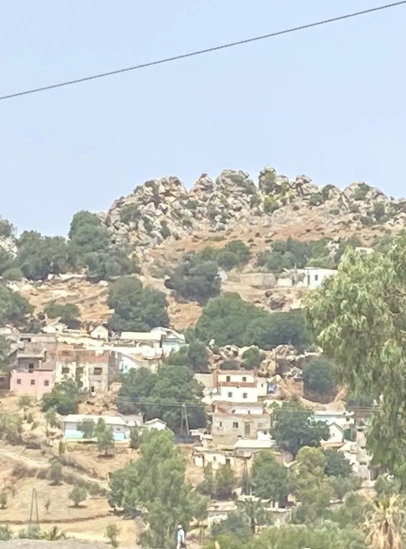 11 lots tirés à Ain Aïcha