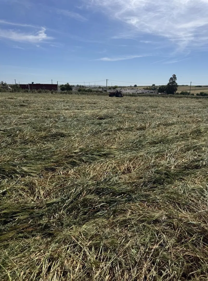 Ferme 2,6 hectares avec maison et clôture murale de 2m