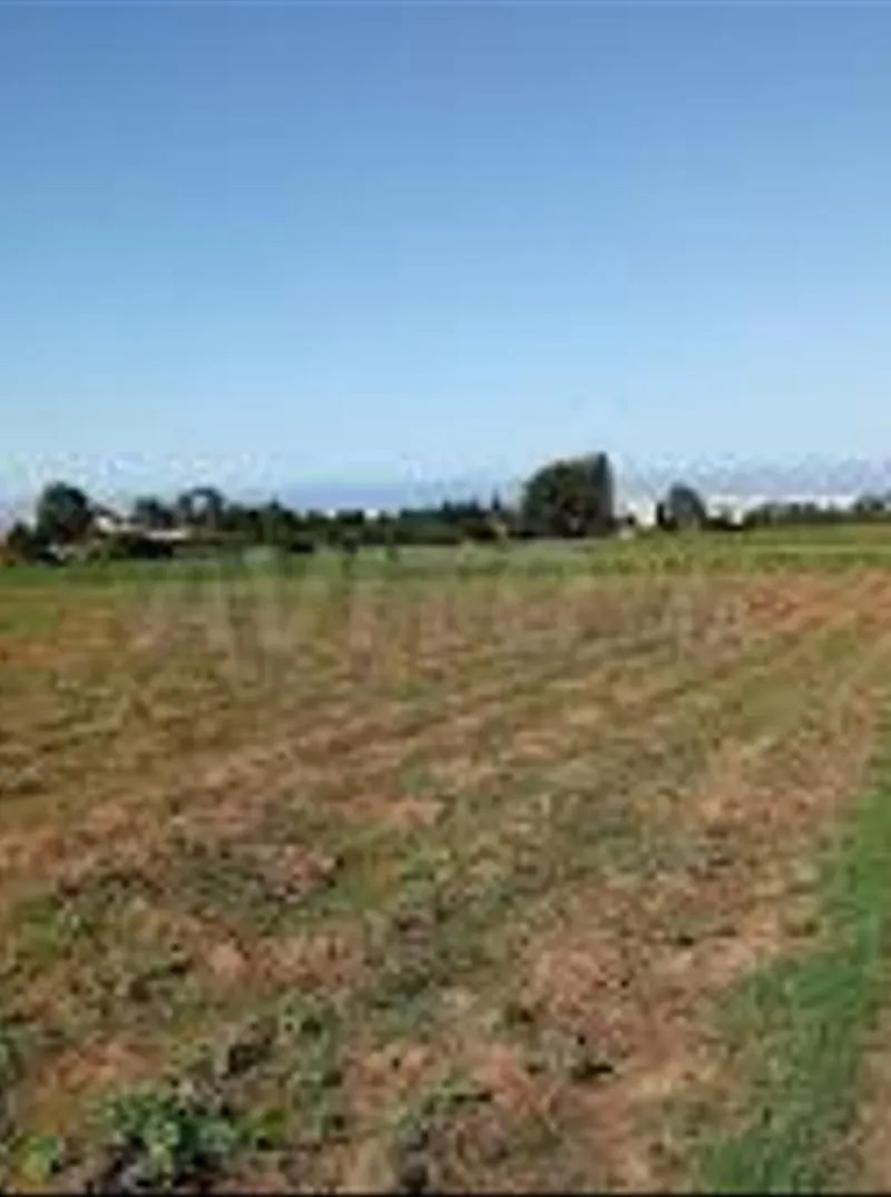Terrains et fermes agricoles titrés – Berr Jdid