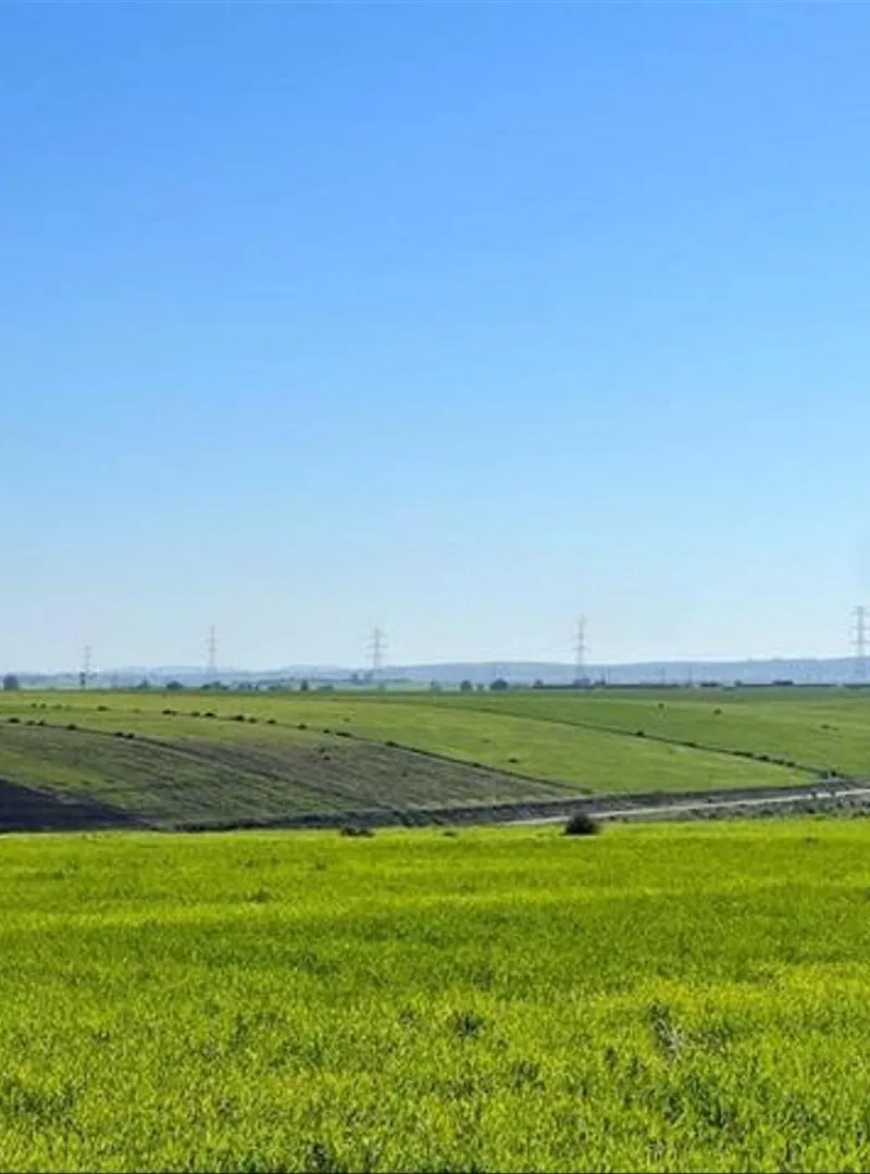 Terrains enregistrés à Azemmour pour habitation ou investissement