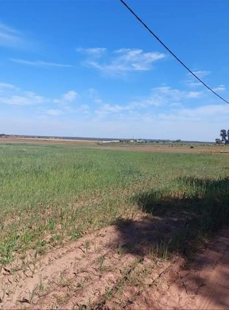 Terrains conservés et villas construites à vendre – Bir Jdid