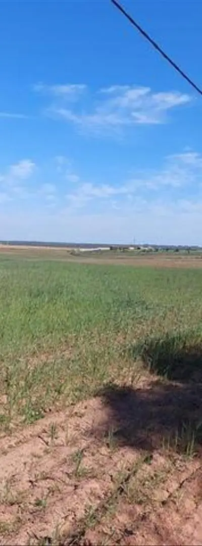 Terrains conservés et villas construites à vendre – Bir Jdid