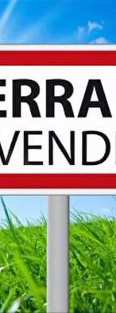 Deux lots à vendre Widadiat Zaitouna