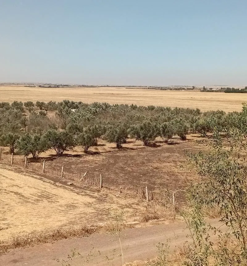 Ferme à vendre d'une superficie de 12000 m²