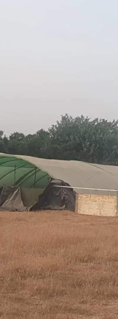Terrain et ferme agricole à vendre
