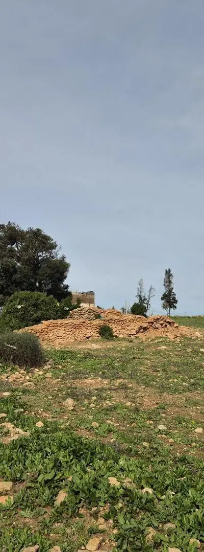 4700 mètres Titre foncier Boulad Hamdane