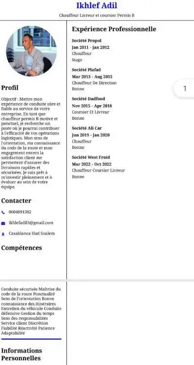 Chauffeur et coursier livraison