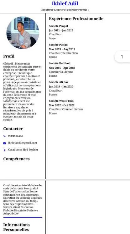 Chauffeur et coursier livraison