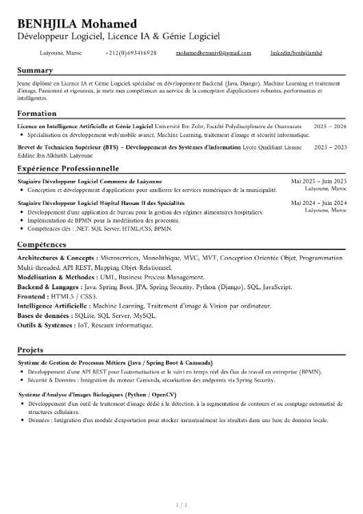 Technicien Informatique, Développeur logiciel