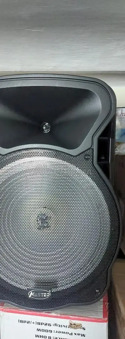 Master A15-2 Enceinte ampli avec 2 micro sans fil
