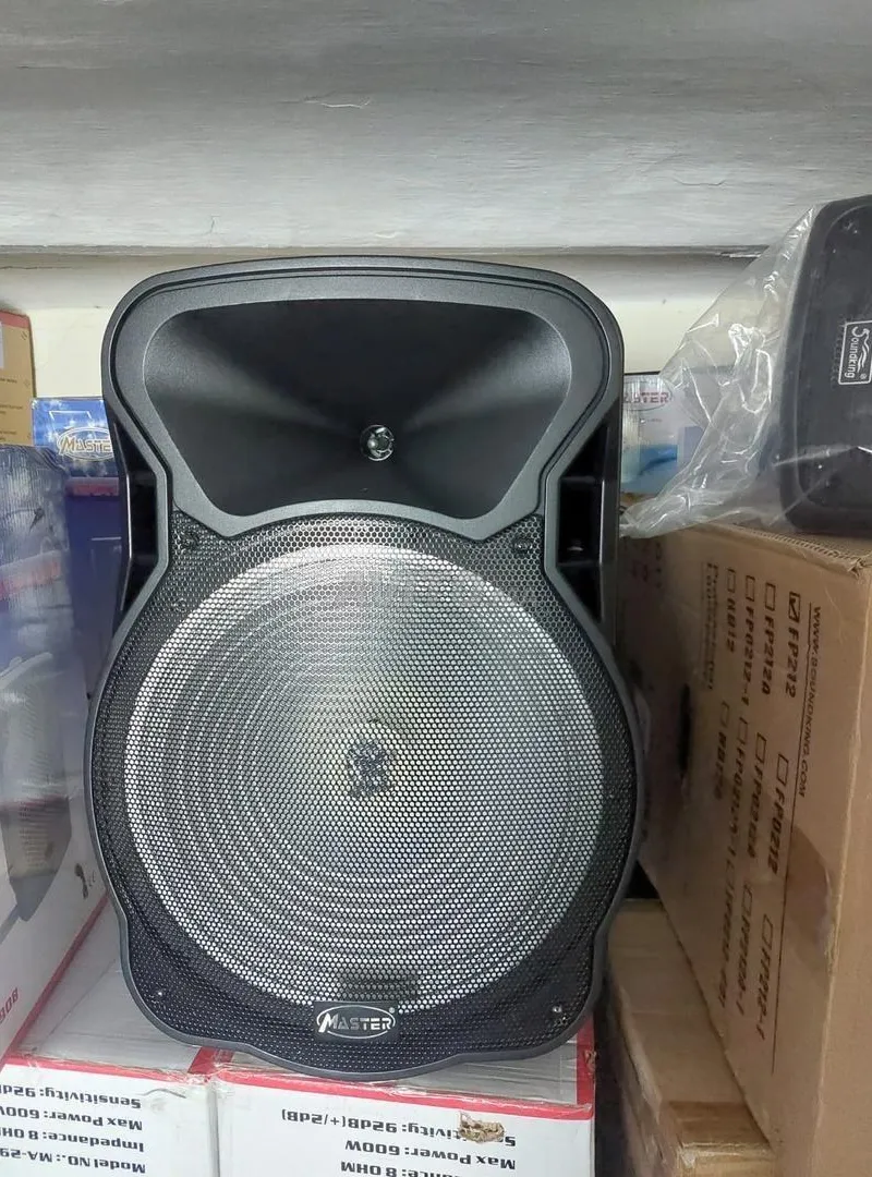 Master A15-2 Enceinte ampli avec 2 micro sans fil
