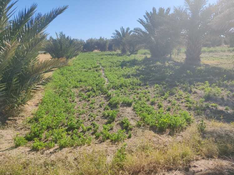 Ferme 3,5 ha et villa 143m2