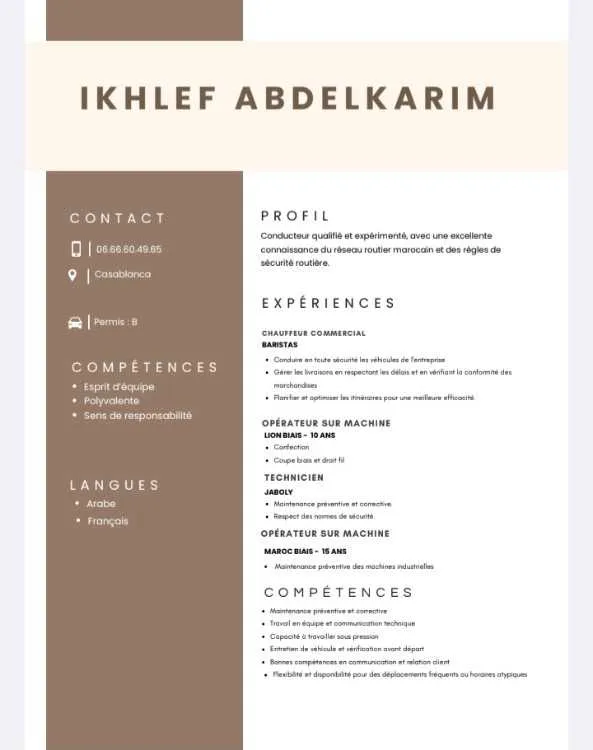 Chauffeur professionnel expérimenté
