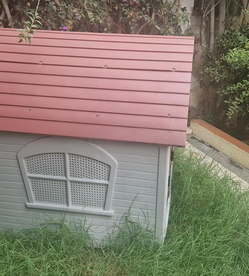 La cage est encore propre, qui la veut, bienvenue