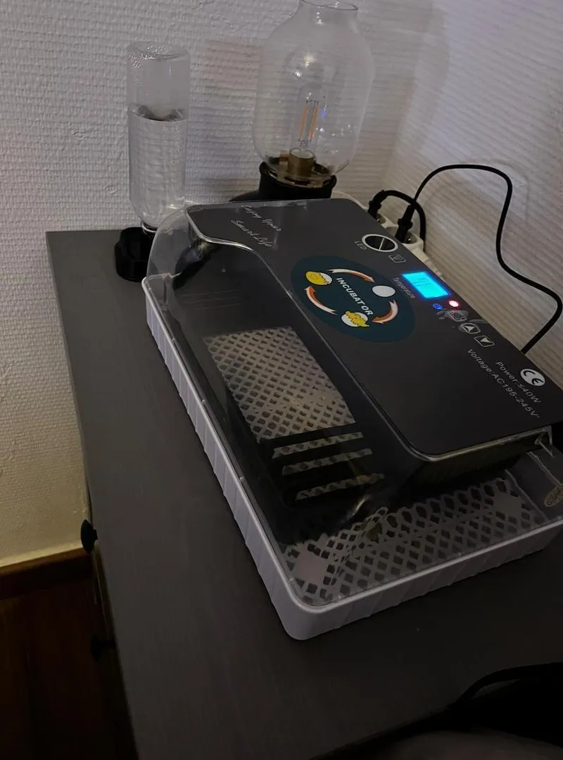 Couveuse automatique à louer – Location mensuelle