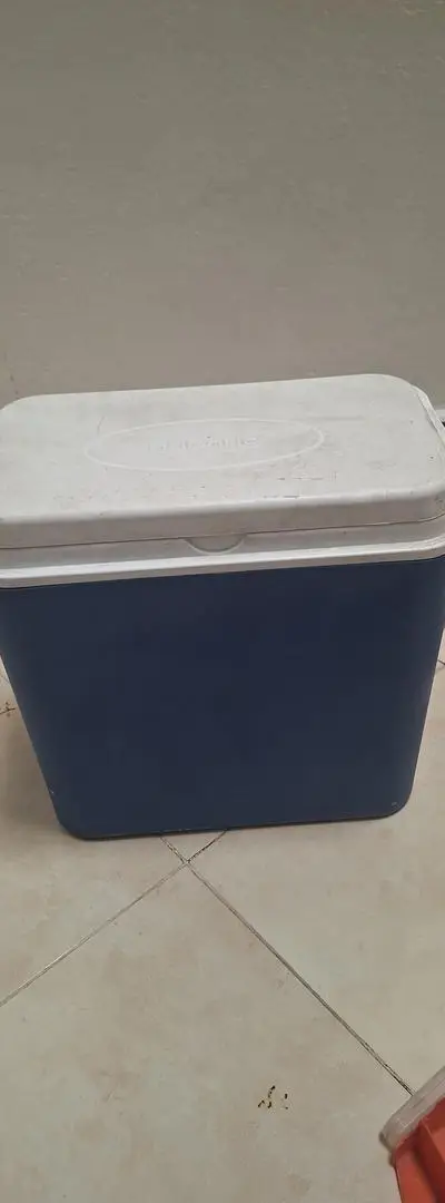 Canne à pêche avec équipement