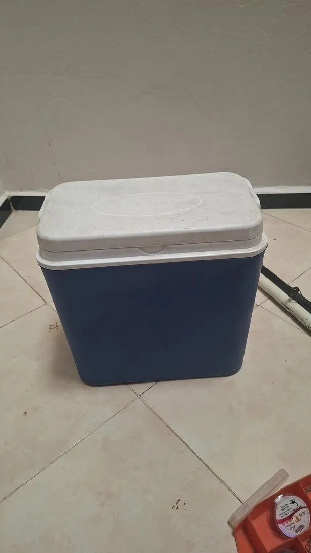 Canne à pêche avec équipement
