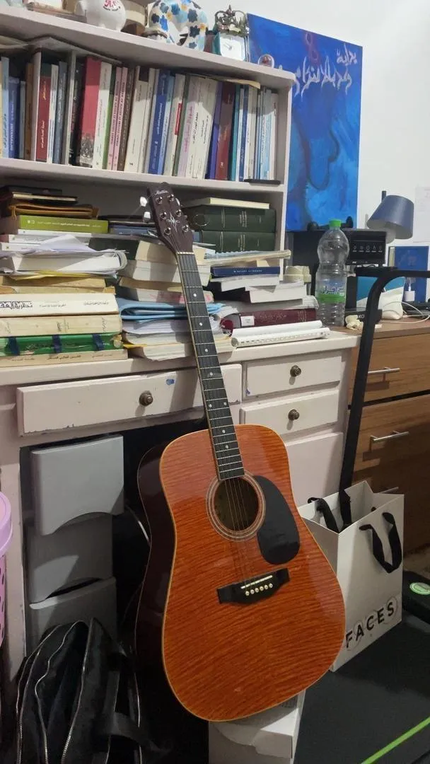 Guitare acoustique Montana