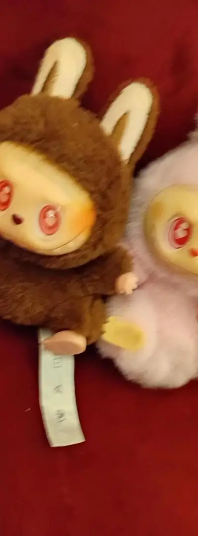 deux Labubus extra rares