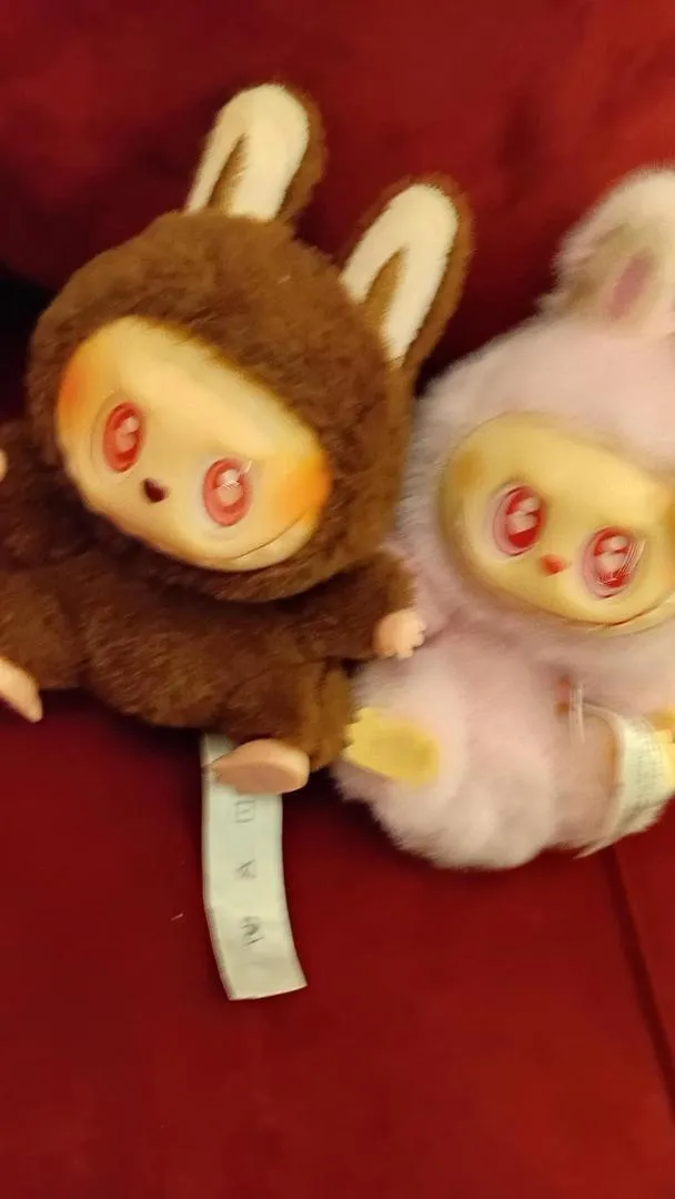 deux Labubus extra rares