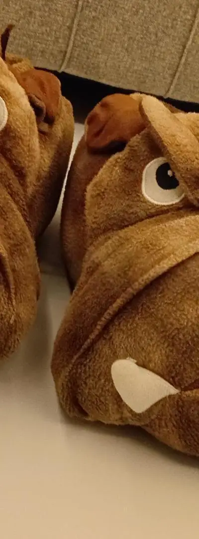Chaussons style dessin animé en très bon état