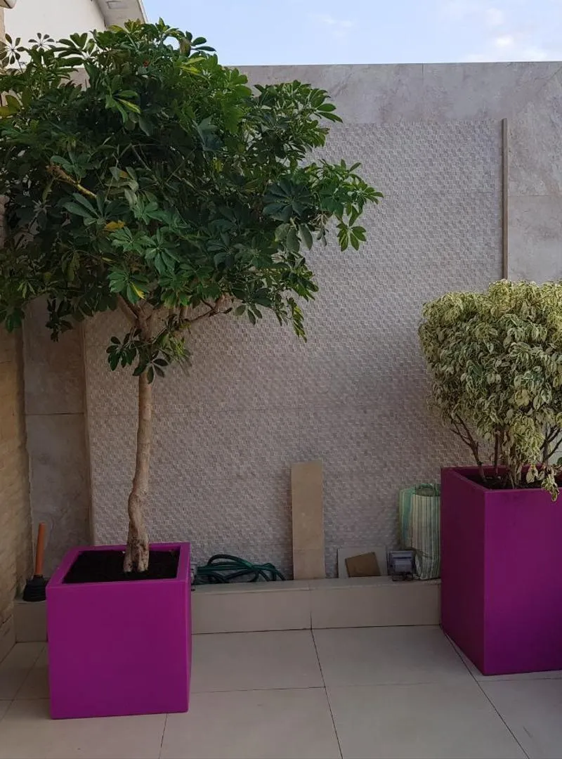 Grands Pots de plantes (4)