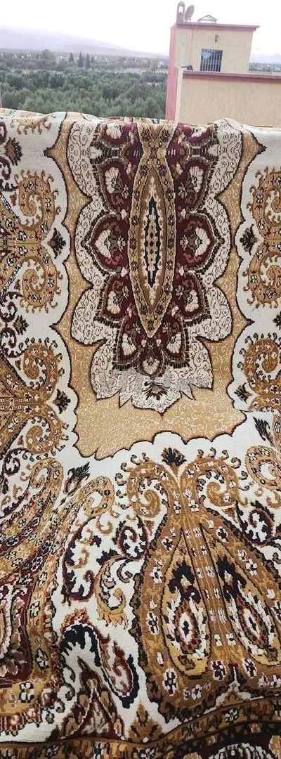 Grand tapis à vendre, dimensions 3x7 mètres