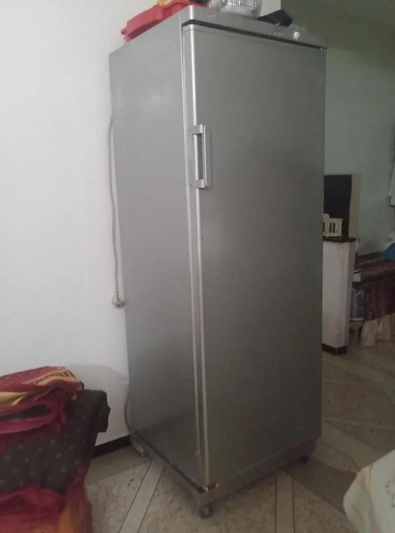 Frigo Ocean