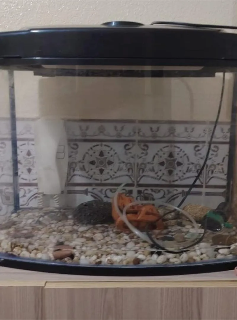Aquarium complet neuf
