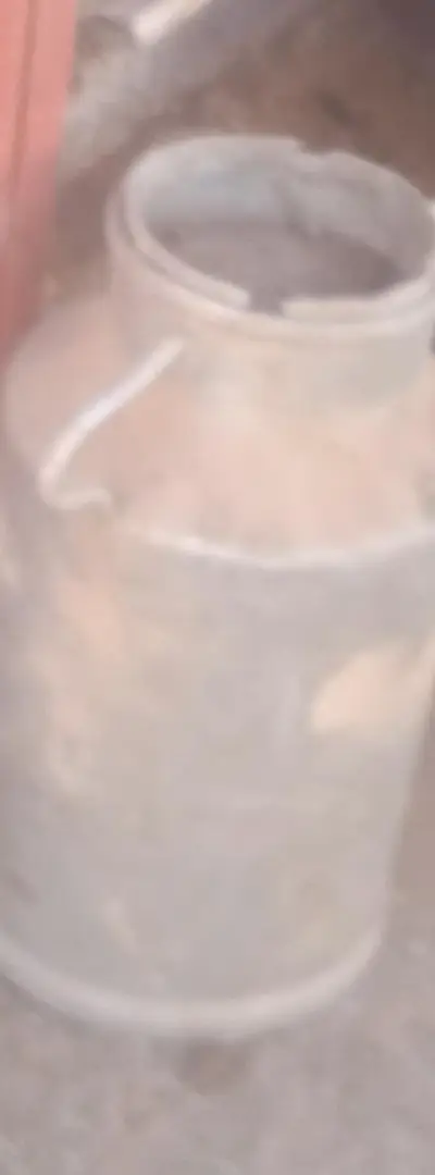 J'ai deux bidons en aluminium de 30 litres pour le lait
