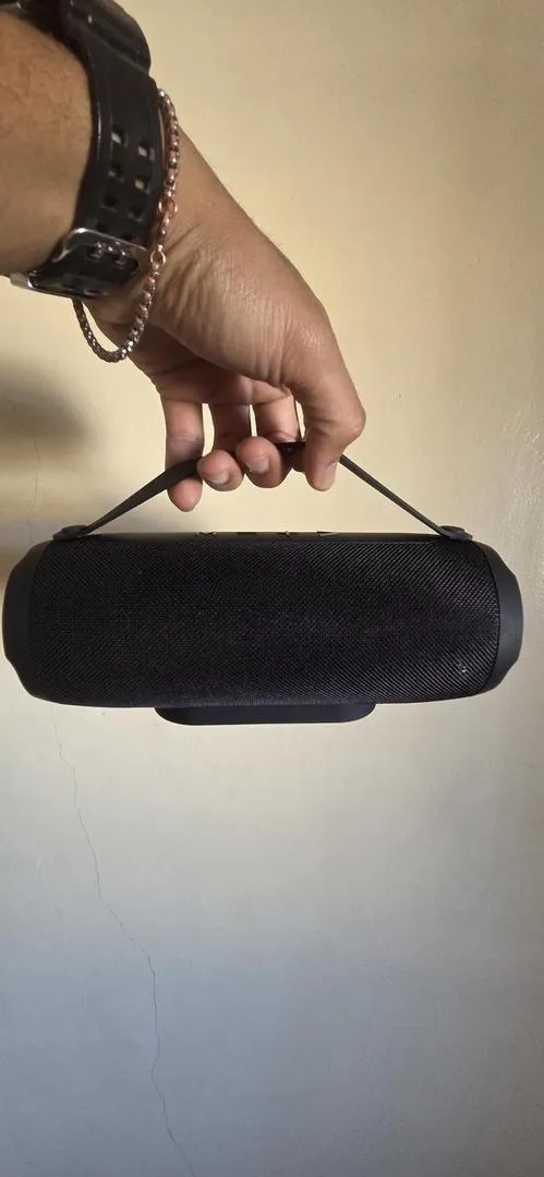 Enceinte musicale
