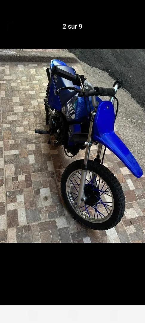 Piwi 80 neuve