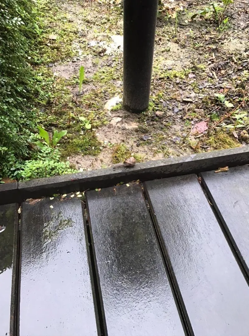 Rez de jardin d'exception