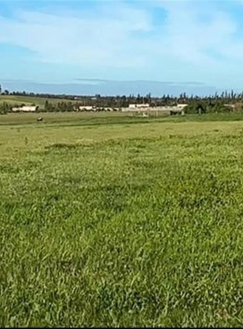 Terrains et fermes titrés dans les environs de Bir Jdid