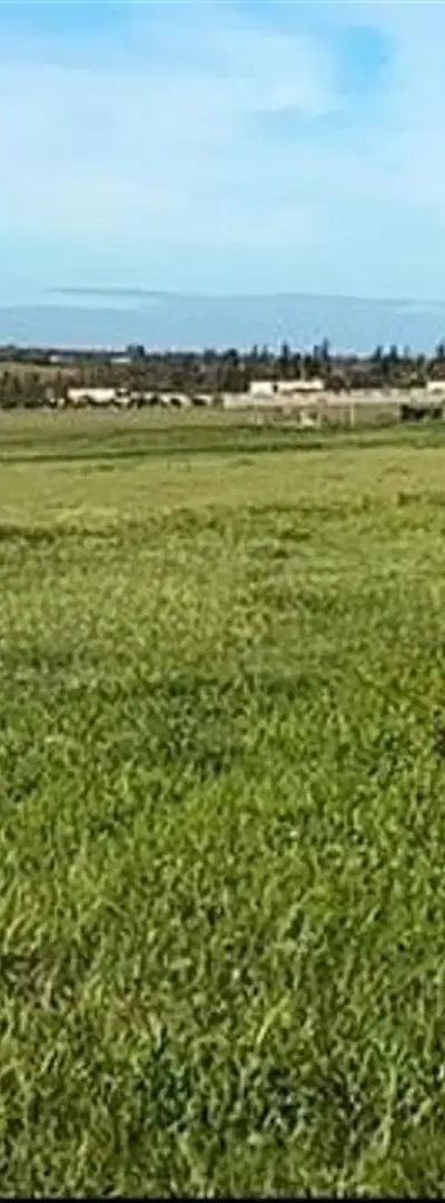 Terrains et fermes titrés dans les environs de Bir Jdid