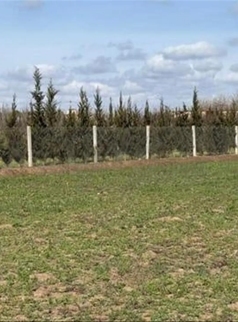 Terrains titrés à vendre à Bir Jdid pour l'agriculture et l'investissement