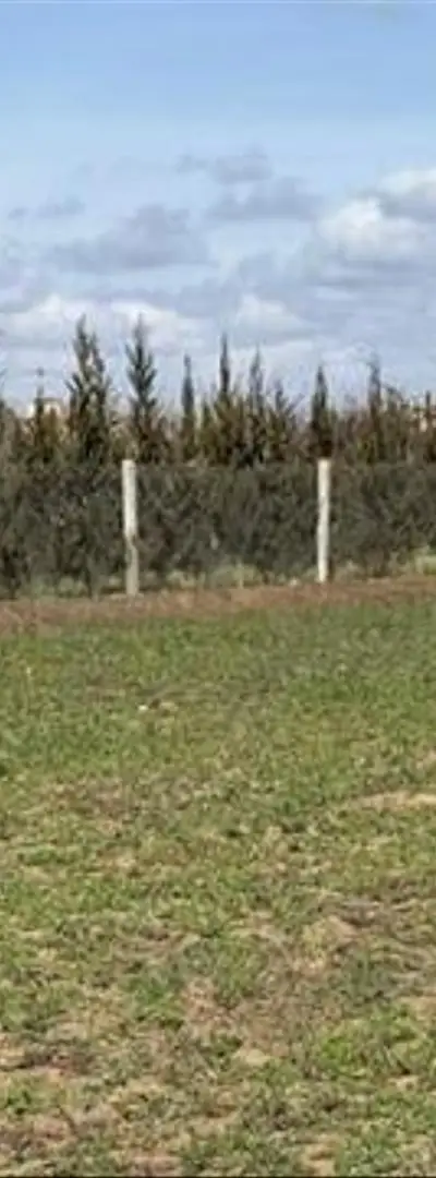Terrains titrés à vendre à Bir Jdid pour l'agriculture et l'investissement