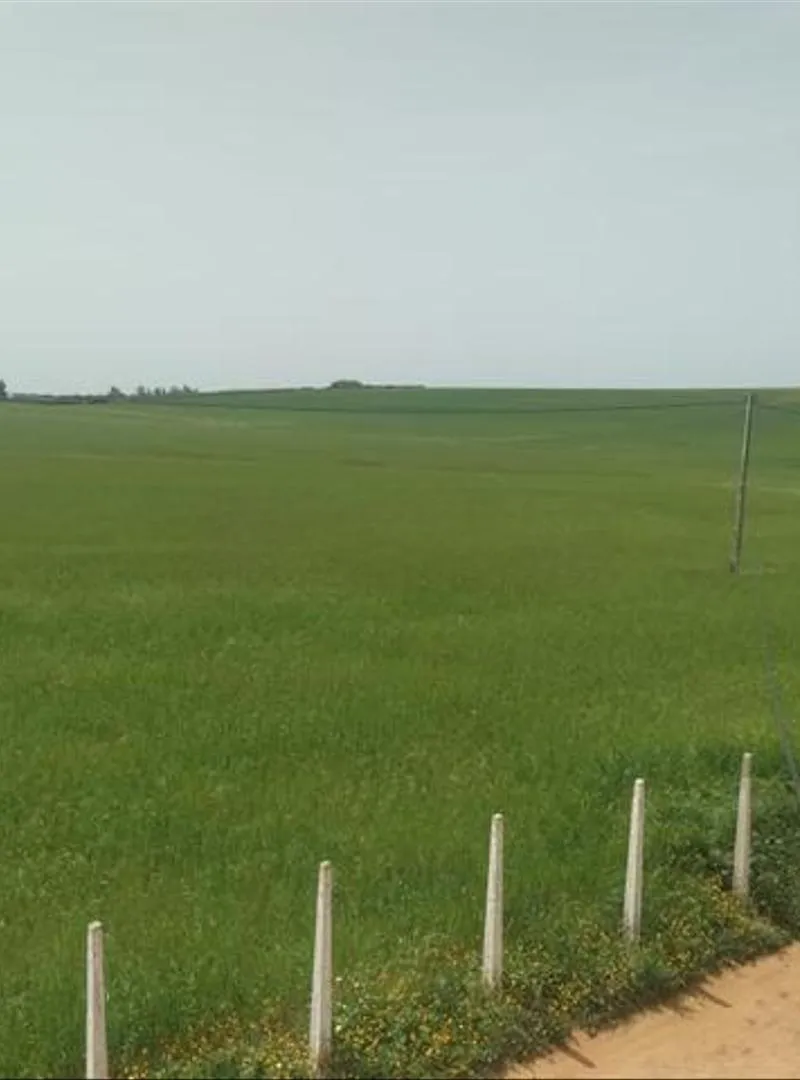 Vente de terrains titrés près de la plage de Sidi Rahal