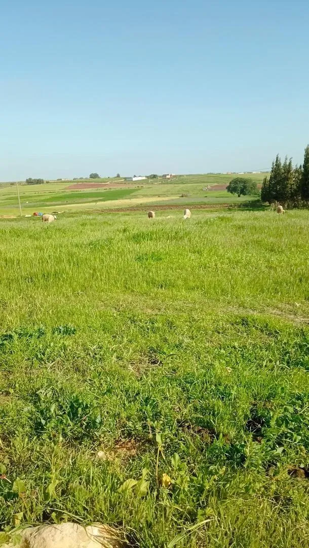 Terrain agricole titré