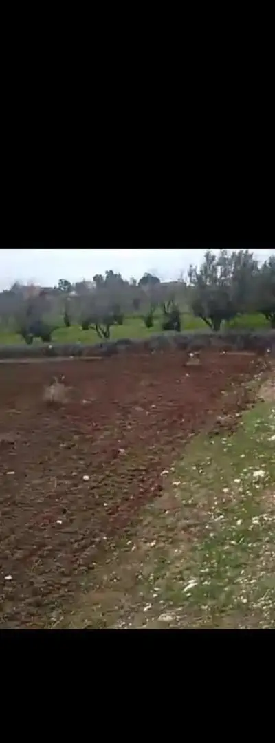 Un terrain près de la route région d'Essaouira