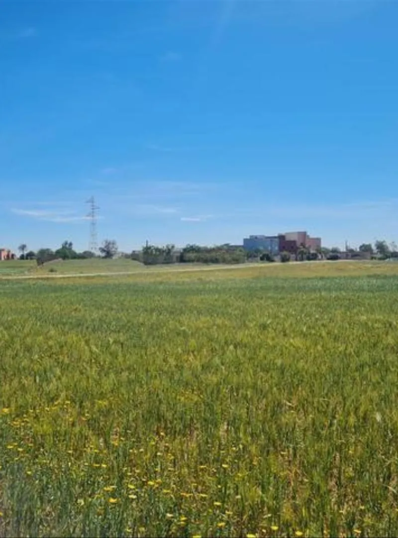 Terrains conservés et villas à vendre – Bir Jdid