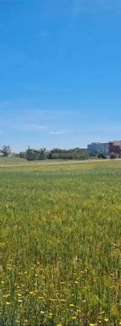 Terrains conservés et villas à vendre – Bir Jdid