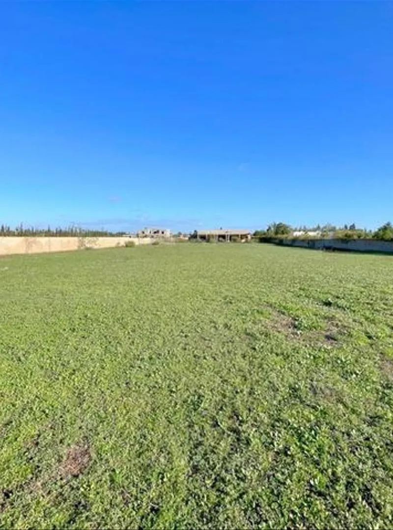 Terrains titrés à vendre – environs de Bir Jdid