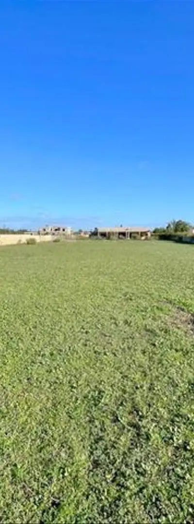 Terrains titrés à vendre – environs de Bir Jdid