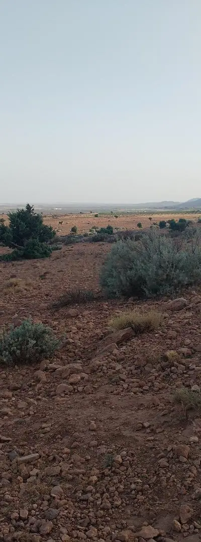 (8) hectares de terrain agricole et pastoral