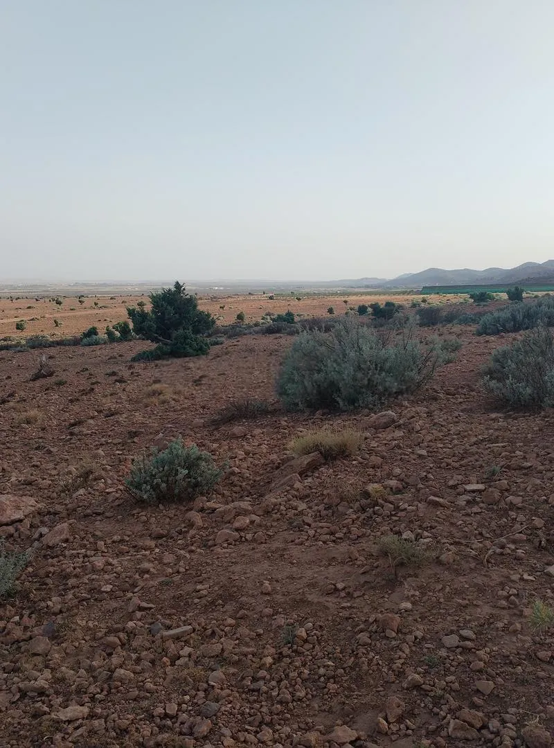 (8) hectares de terrain agricole et pastoral
