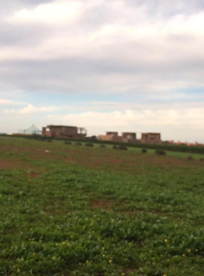 Terrain agricole à benslimane pour ferme