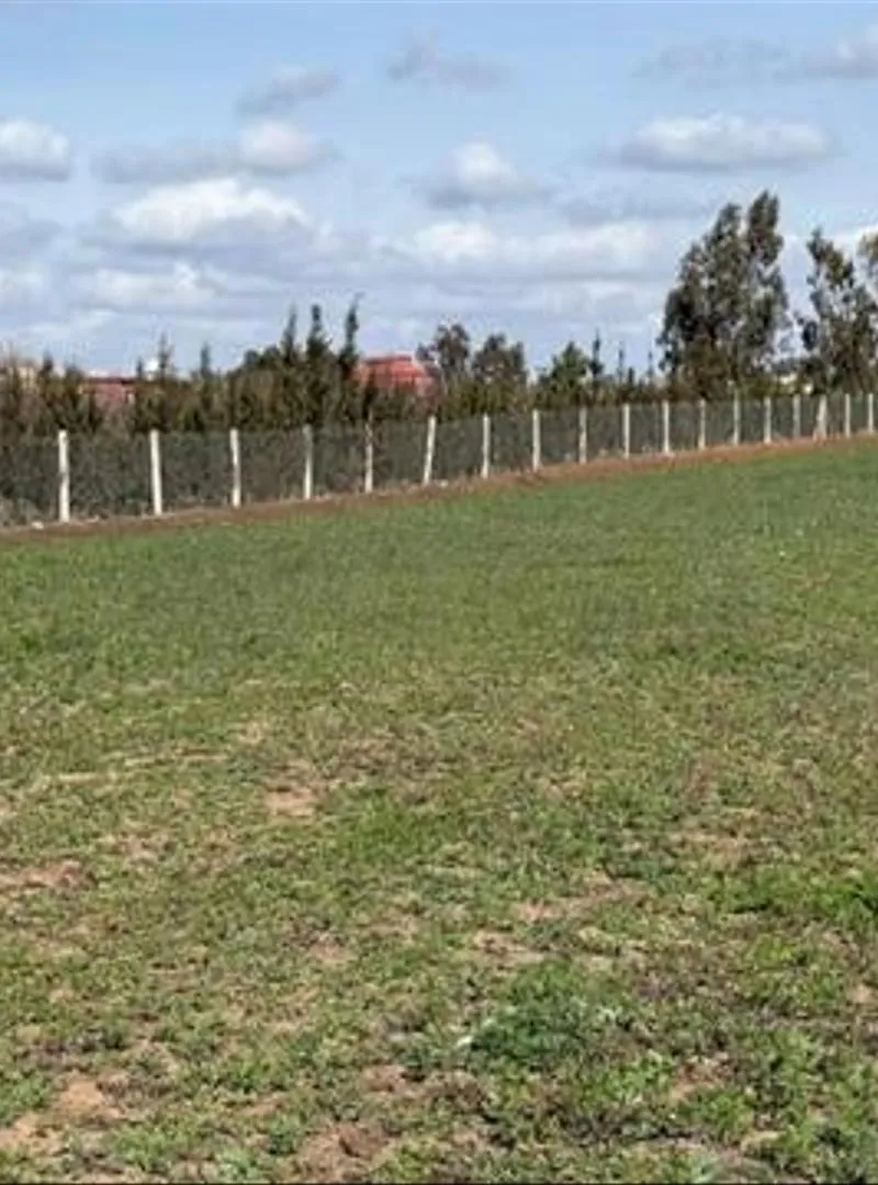 Vente de terrains – Sidi Rahal, bord de mer