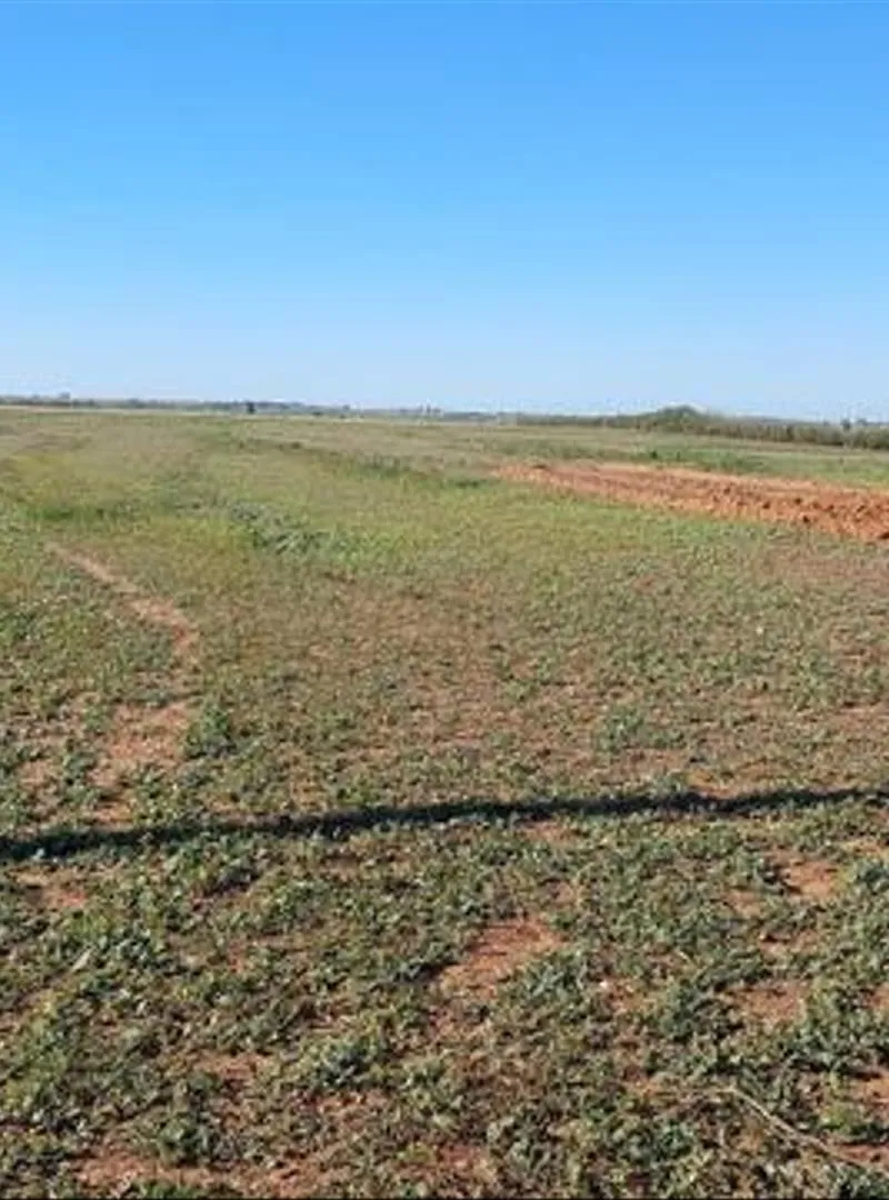 Terrains titrés pour habitation et investissement à Sidi Rahal