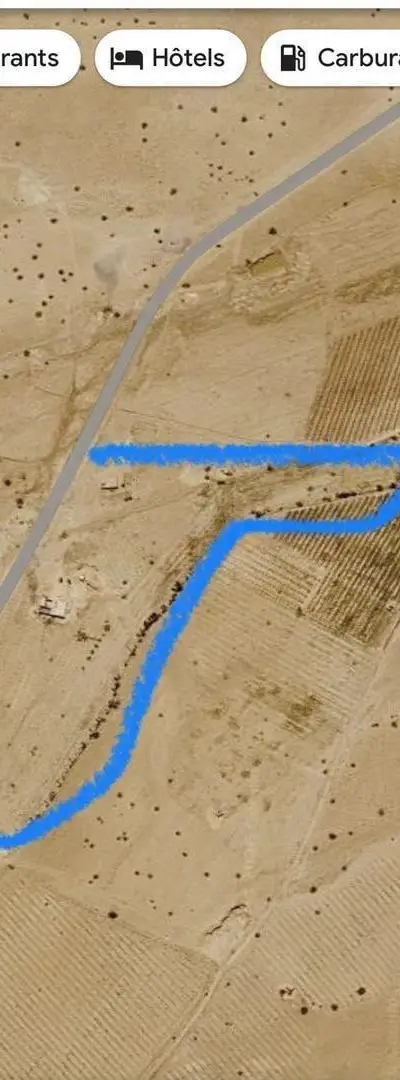 🌳 Terrain agricole de 8 hectares à vendre dans la province de Midelt